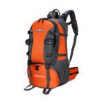 Fusce viverra velit sed male suada elem